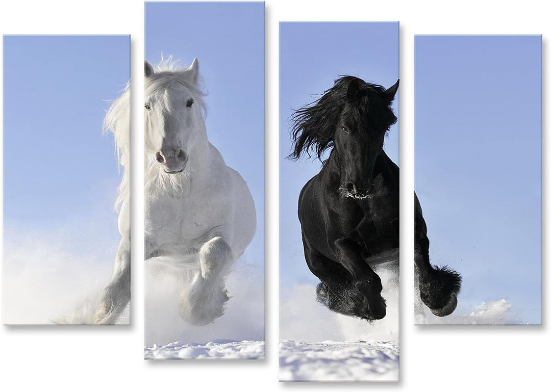islandburner Bild auf Leinwand Weisses Und Schwarzes Pferd Im Schnee Bilder Wandbilder Poster Leinwa