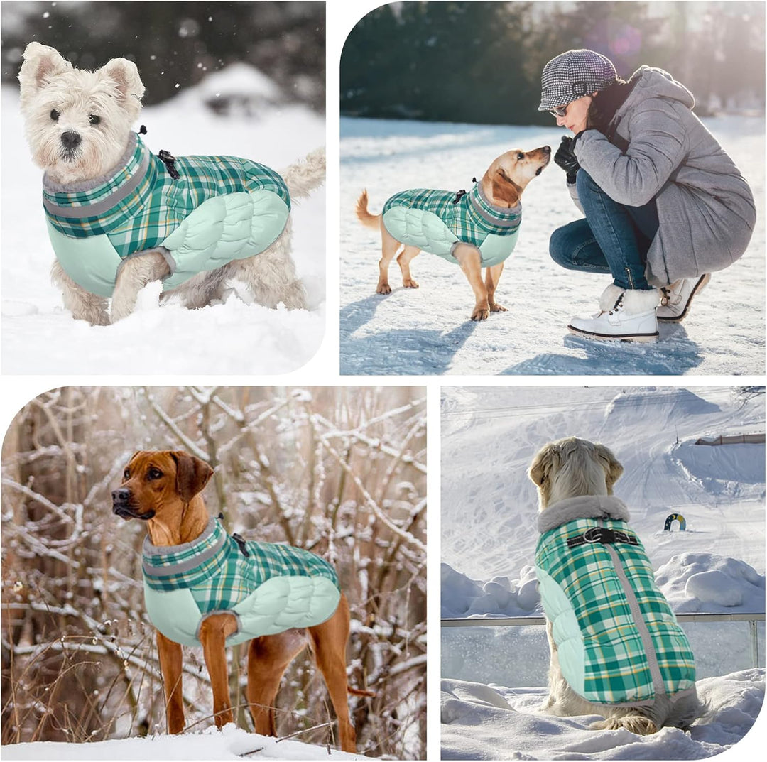 Kuoser Warme Hundejacke, Reflektierende Hundemantel, Winddichte Hundemantel für Kleine Hunde,Moden H