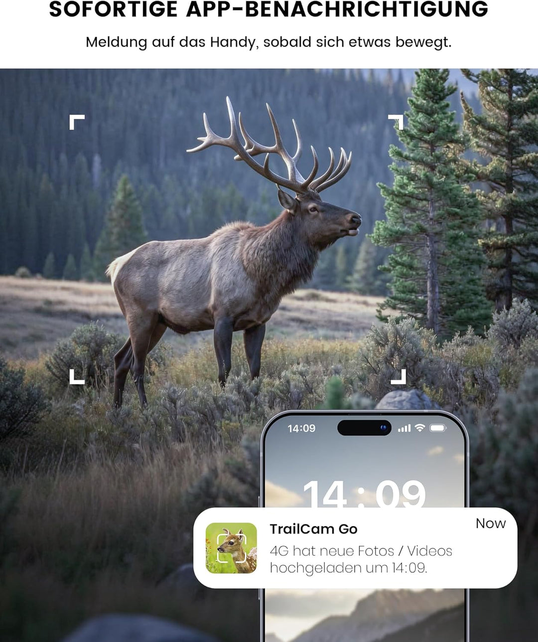 Misstech 4G LTE Wildkamera mit SIM Karte & 5W Solarpanel – 4K Video & 64MP, unsichtbare 940nm Nachts