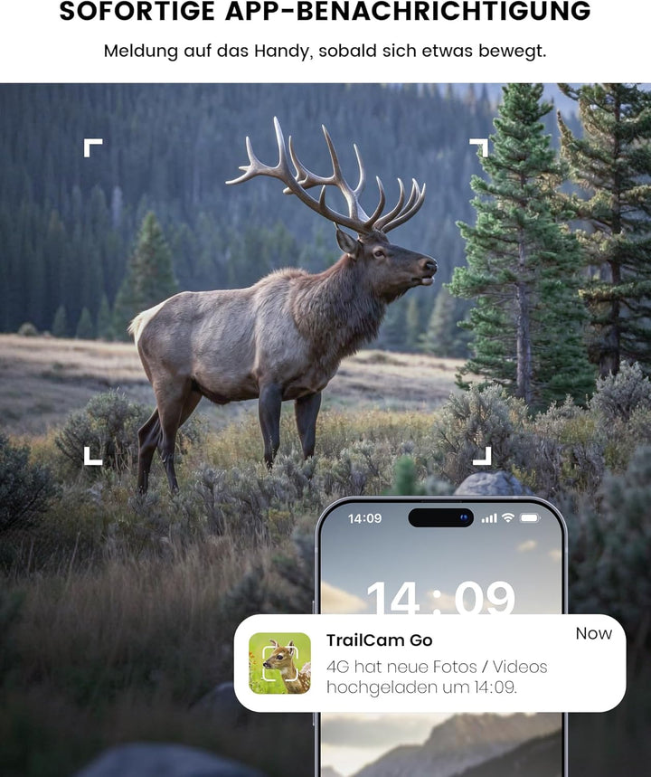 Misstech 4G LTE Wildkamera mit SIM Karte & 5W Solarpanel – 4K Video & 64MP, unsichtbare 940nm Nachts
