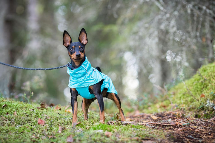 Rukka Pets HASE Regenmantel für Hunde Tuerkis 55 55 Tuerkis, 55 Tuerkis