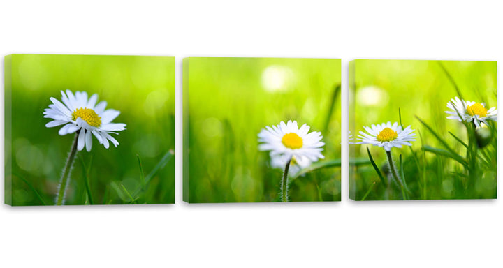 Feeby. Leinwandbild, Bilder, Wand Bild - 3 Teile - Panoramabild, Wandbilder, Kunstdruck 90x30 cm, GÄ