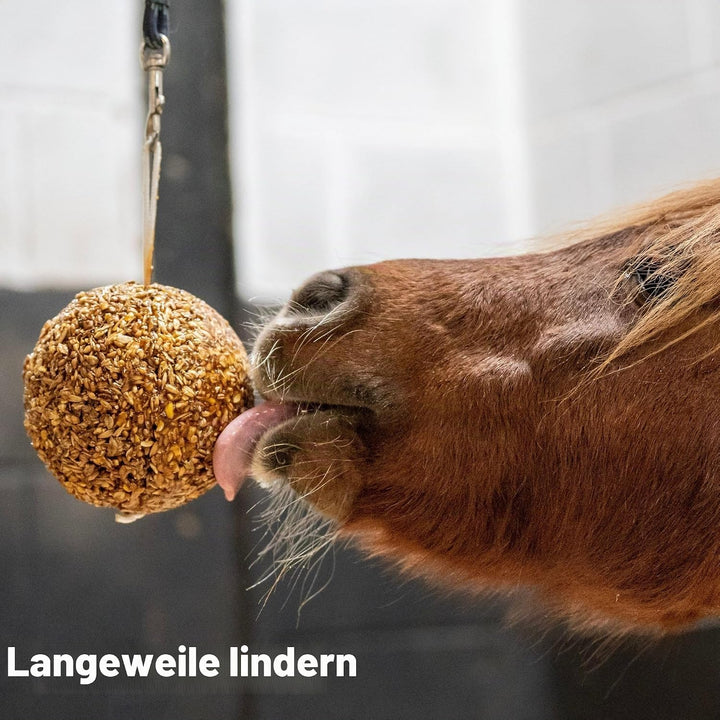 Likit Granola Stall-Ball Pferde-Leckerli 1,6 kg | Geschmacksrichtungen Apfel, gemischte Beere, Pfeff