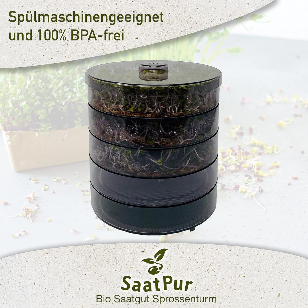 SaatPur® Keimsprossenbox Set 4 mit Vier Etagen als Sprossen Keimgerät: Sprossen Anzucht sowie Microg