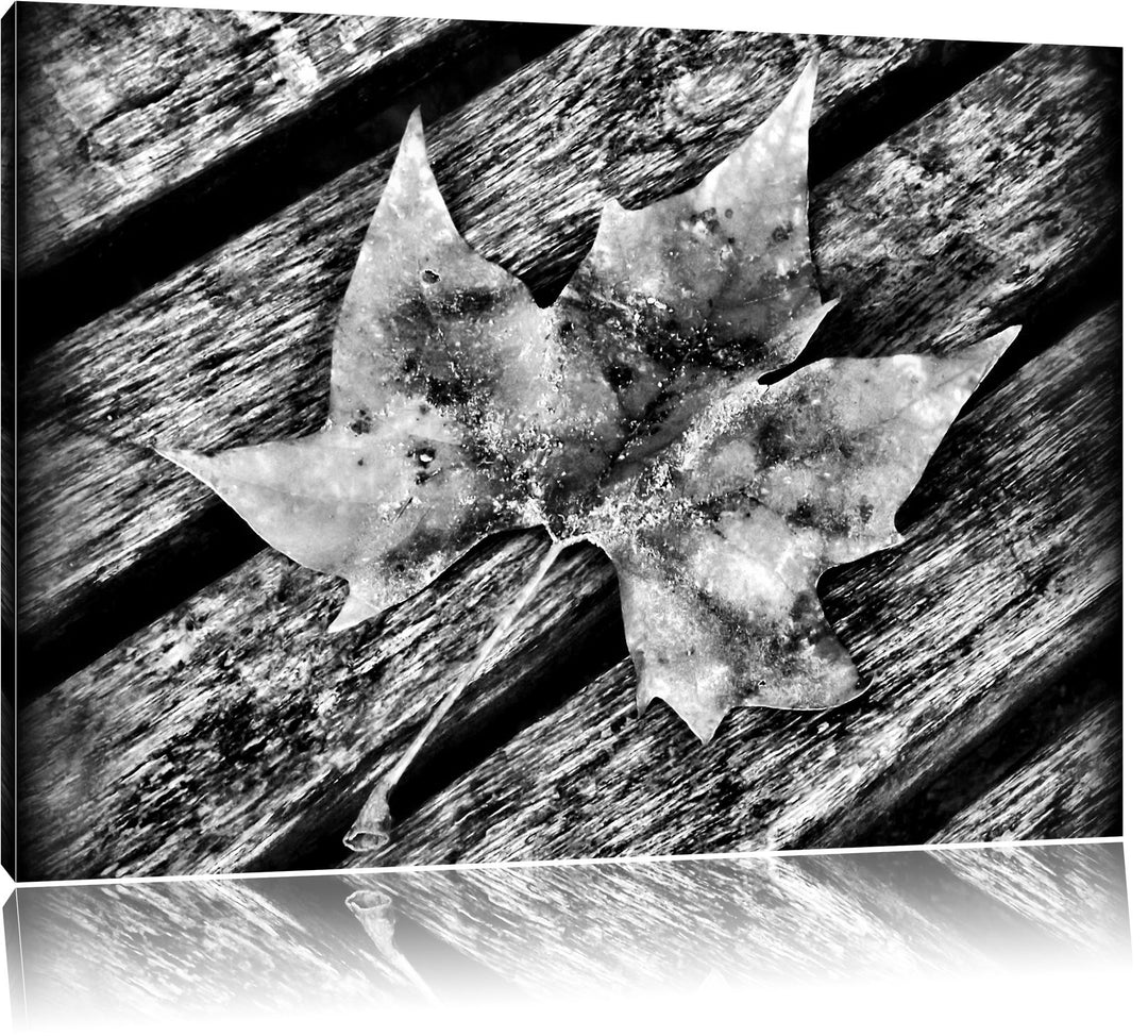 Pixxprint kleines Herbstblatt auf Holz als Leinwandbild/Grösse: 100x70 / Wandbild/Kunstdruck/fertig
