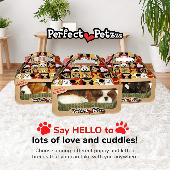 Perfect Petzzz 4924 – Plüsch – Hund Shih Tzu