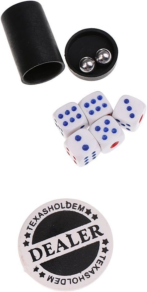 Bo-Toys 5 in 1 Casino Spiele Set: Roulette, Poker, Black Jack, Craps, Chips, Matten, Würfel, Karten,