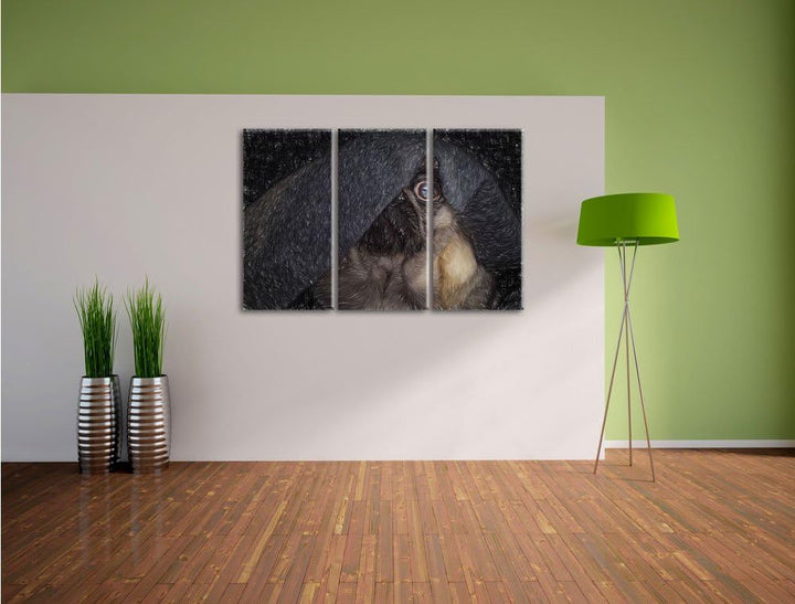 Pixxprint Mops Decke / 3-Teilig/Gesamtmass 120cm Leinwandbild bespannt auf Holzrahmen/Wandbild Kunst