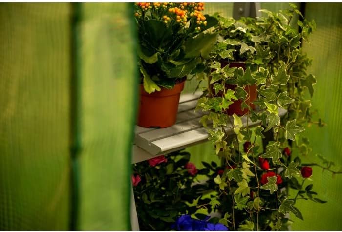 Grindi - Tomaten Gewächshaus, Foliengewächshaus mit PVC Folie und Fernster, Transparent, 100x50x170c