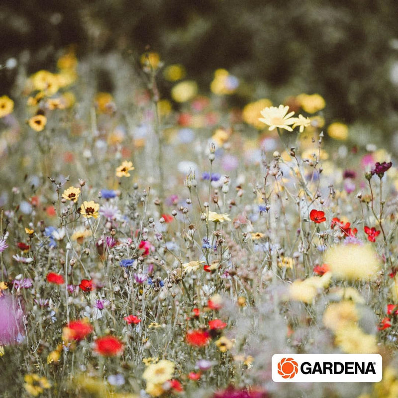 Gardena Start Set Pflanzflächen: Micro-Drip-Gartenbewässerungssystem zur individuellen, flexiblen Be