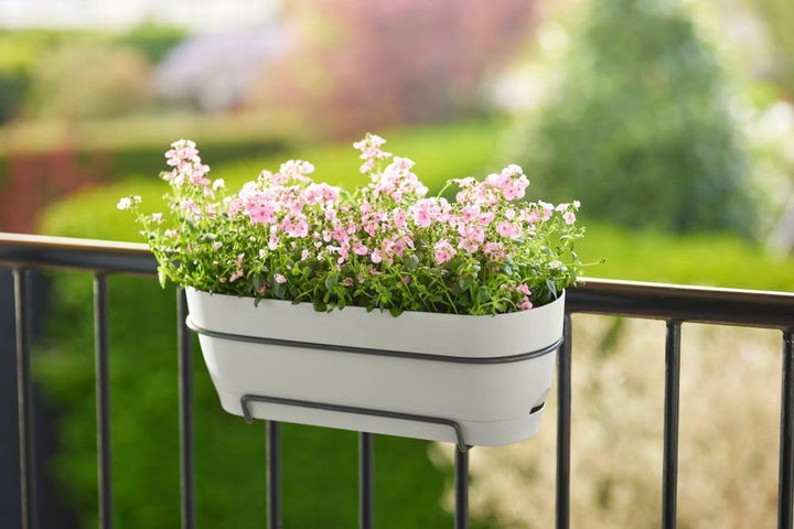 elho Vibia Campana Balkonkasten Allin1 50 mit Wasserreservoir - Blumentopf Balkongeländer - 100% rec