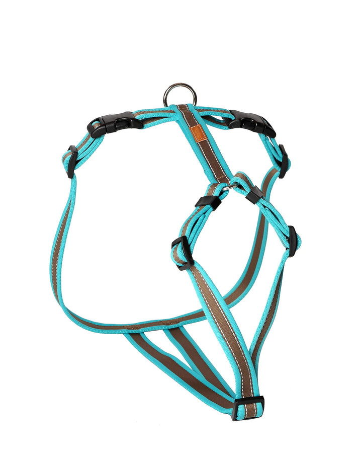 Feltmann Hundegeschirr - Soft-Grip, türkis/braun, Bauchumfang 60-80 cm, 25 mm Bandbreite 60-80 cm tü