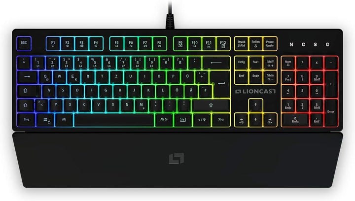 Lioncast LK100 RGB Gaming Keyboard für PC/Laptop/PS4/PS5, 19-Tasten-Rollover Anti-GHOSTING-Funktion,