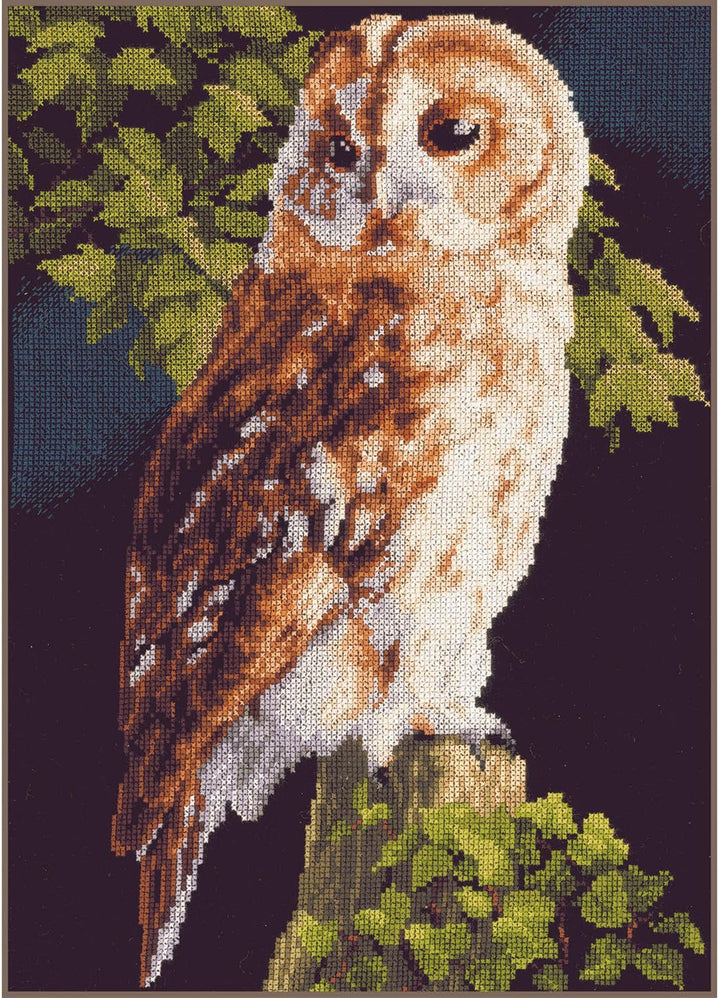 Lanarte Zählmusterpackung Eule Kreuzstichpackung, Baumwolle, Mehrfarbig, 24 x 34 x 0.3 cm, Eule