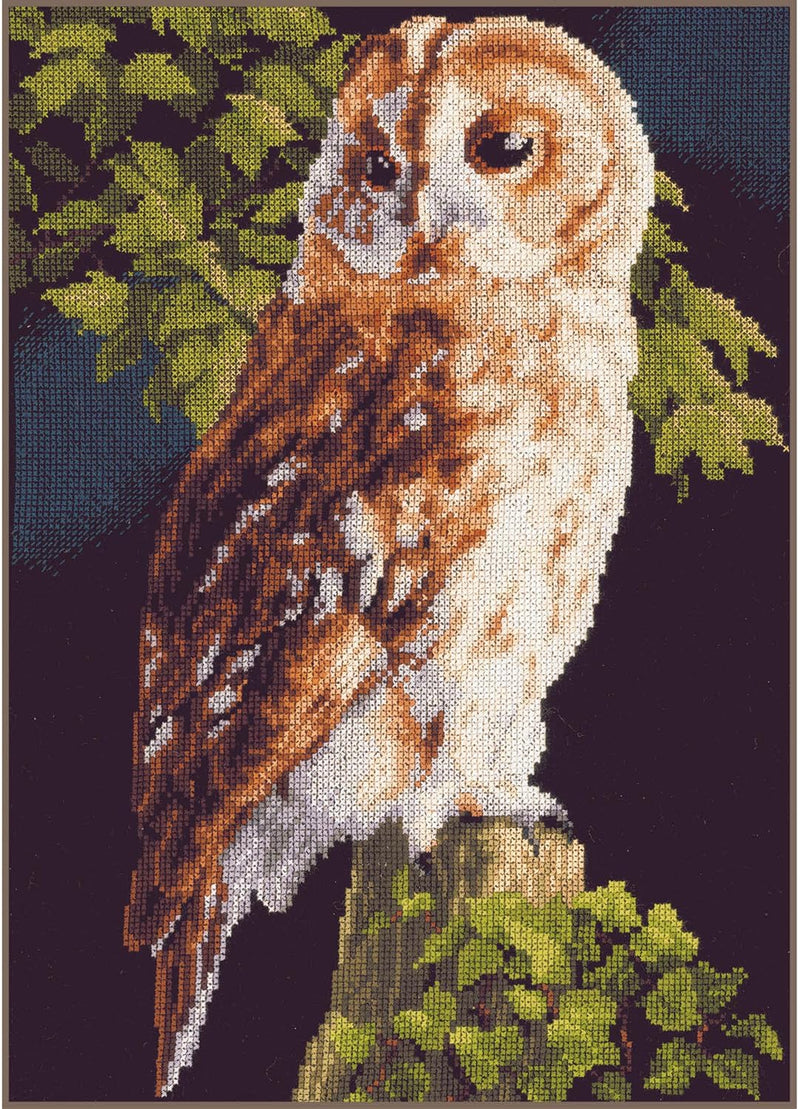 Lanarte Zählmusterpackung Eule Kreuzstichpackung, Baumwolle, Mehrfarbig, 24 x 34 x 0.3 cm, Eule