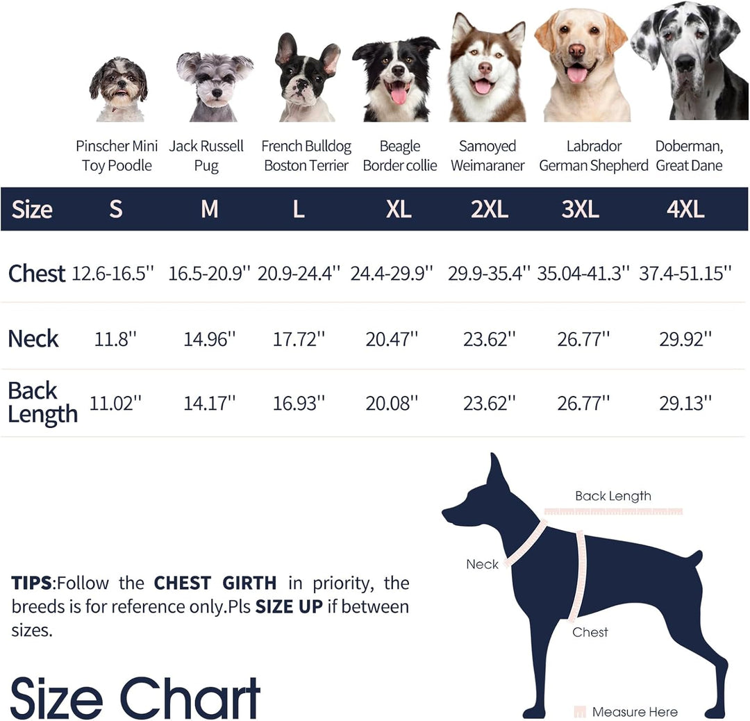 IECOii Hundemantel Winter,Warme Fleece Rollkragen Hundejacke,Wasserdicht Winterjacken Wintermäntel f
