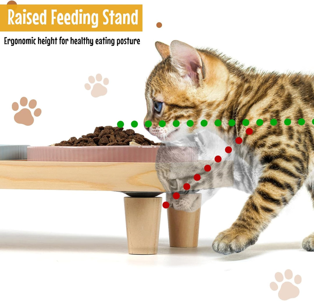 Katzennapf Flach Keramik mit Holzständer, Erhöhte Futterstation mit 2 Keramiknäpfe, Futternapf Katze