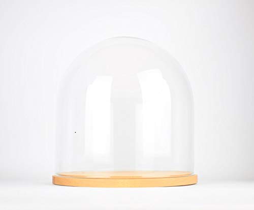 EMH Kleine handgefertigte Glocken-Kuppel aus mundgeblasenem Glas, rund, mit Holzsockel, 21,5 cm