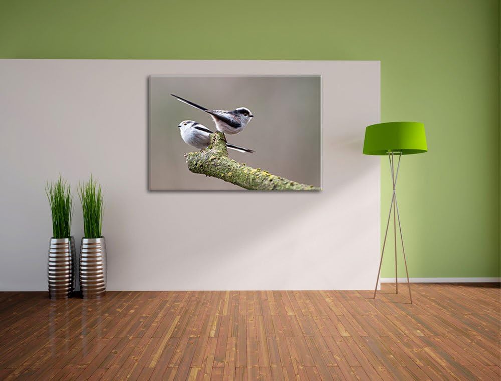 zwei Schwanzmeisen auf einem Ast Leinwand, XXL riesige Bilder fertig gerahmt mit Keilrahmen, Kunstdr