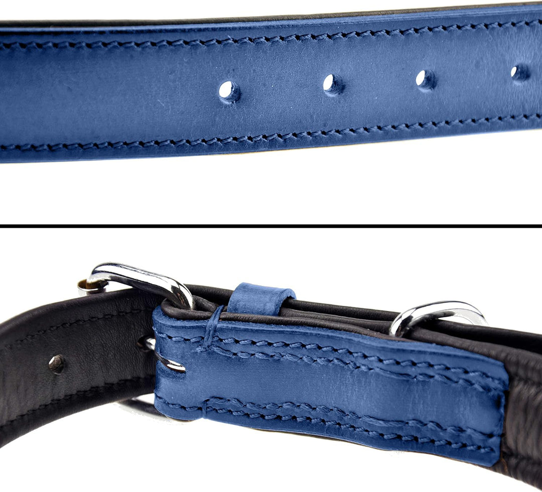 Schnüffelfreunde Halsband für Hunde aus Leder, Hundehalsband für den grossen, mittleren und kleinen