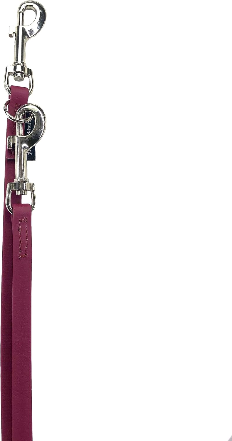 Biothane Hundeleine kleine Hunde/grosse Hunde verstellbar 2m / 2,40m / 2,80m / 3,50m / 5m SILBERNER