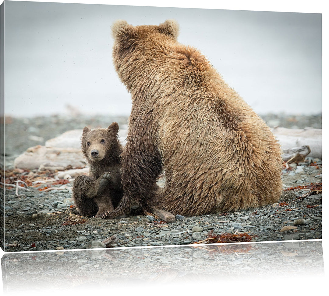 Pixxprint Bär mit Baby nach dem Baden, Format: 100x70 auf Leinwand, 100x70