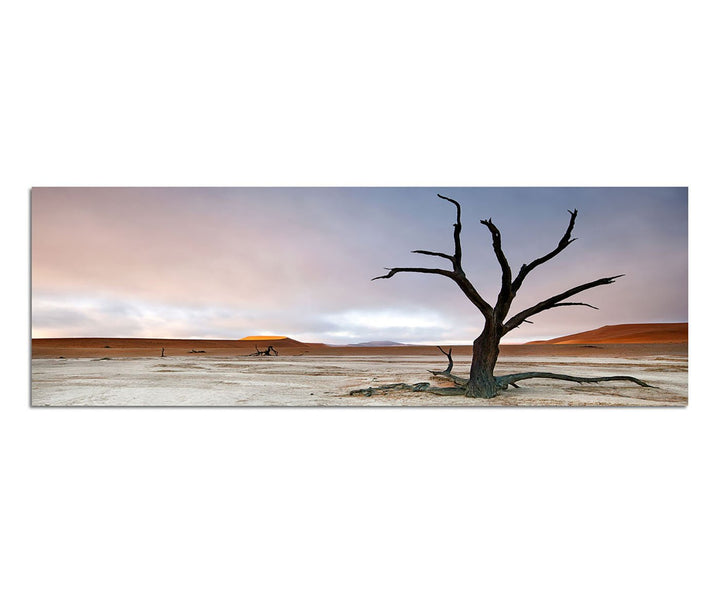Paul Sinus Art Panoramabild auf Leinwand und Keilrahmen 150x50cm Wüstenlandschaft Baum Himmel