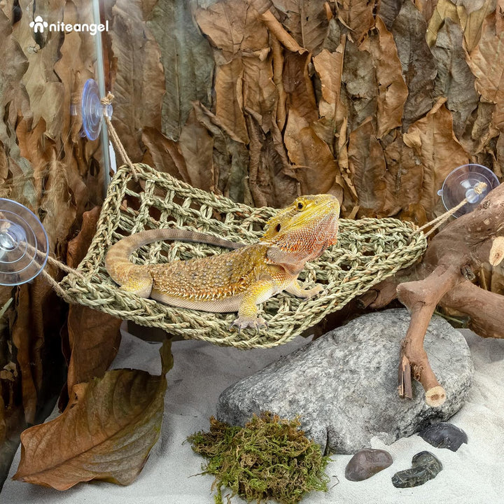 Niteangel Hängematte für Bartagamen: Liegeplatz für Chamäleons, Eidechsen, Geckos, Schlangen, Leguan