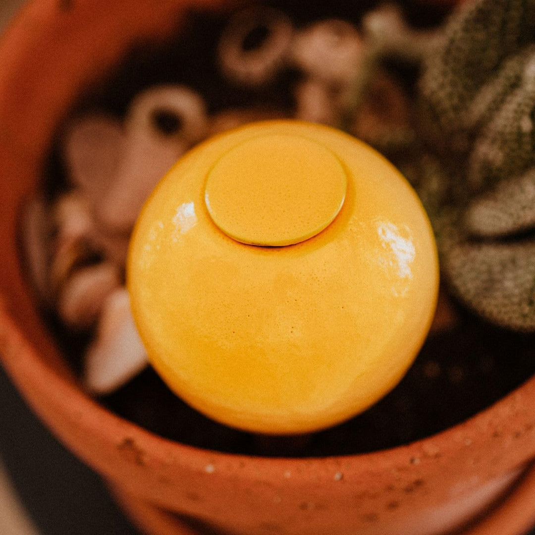 Ollas Lutton Mini Olla Terrakotta zum Pflanzen, 25 cl, automatische und umweltfreundliche Bewässerun