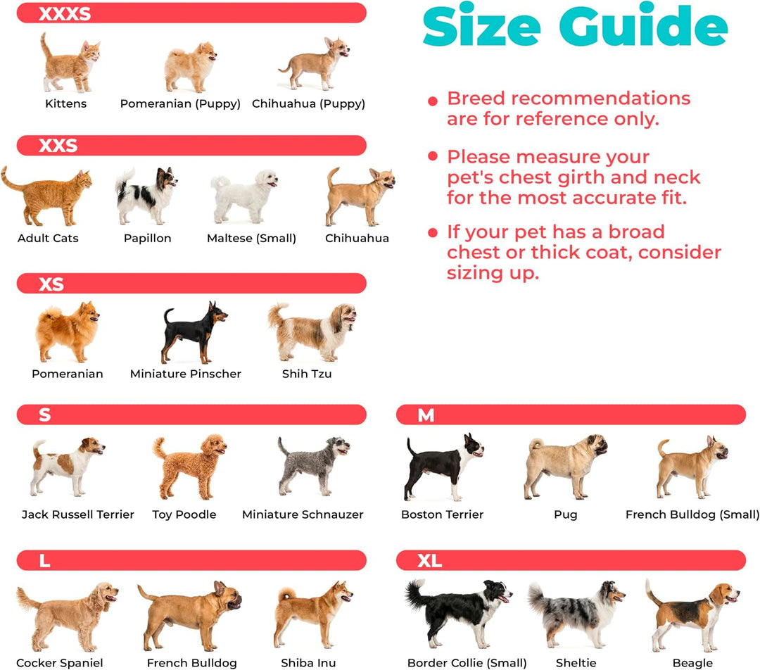 Voyager Step-in Air Hundegeschirr – Allwetter-Netzgewebe für kleine und mittelgrosse Hunde von Best