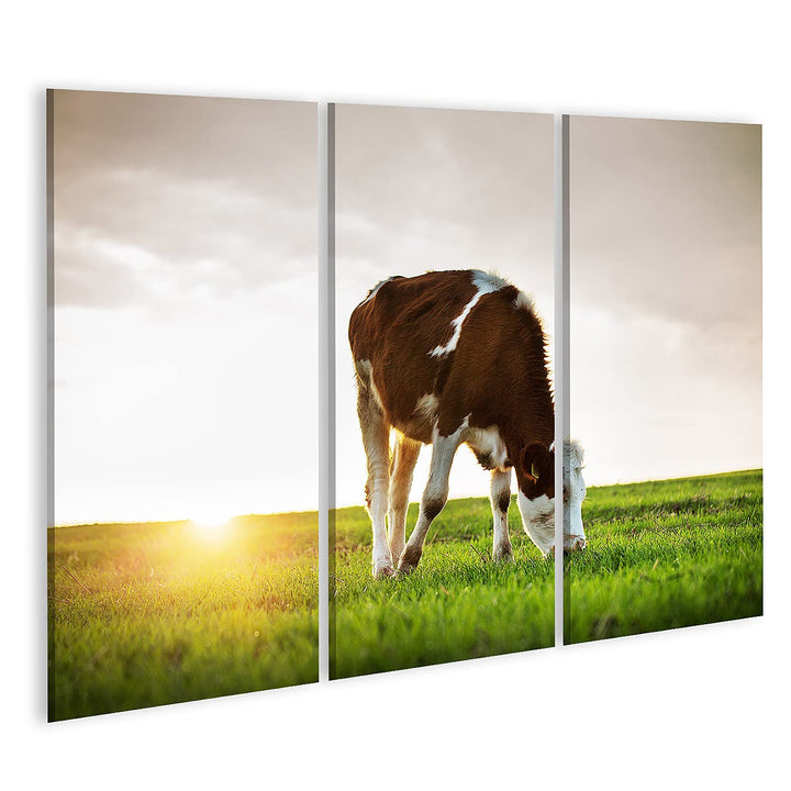 Bild auf Leinwand Kuh grasend Frische Weiden Sonnenuntergang Wandbild Poster Kunstdruck Bilder Forma