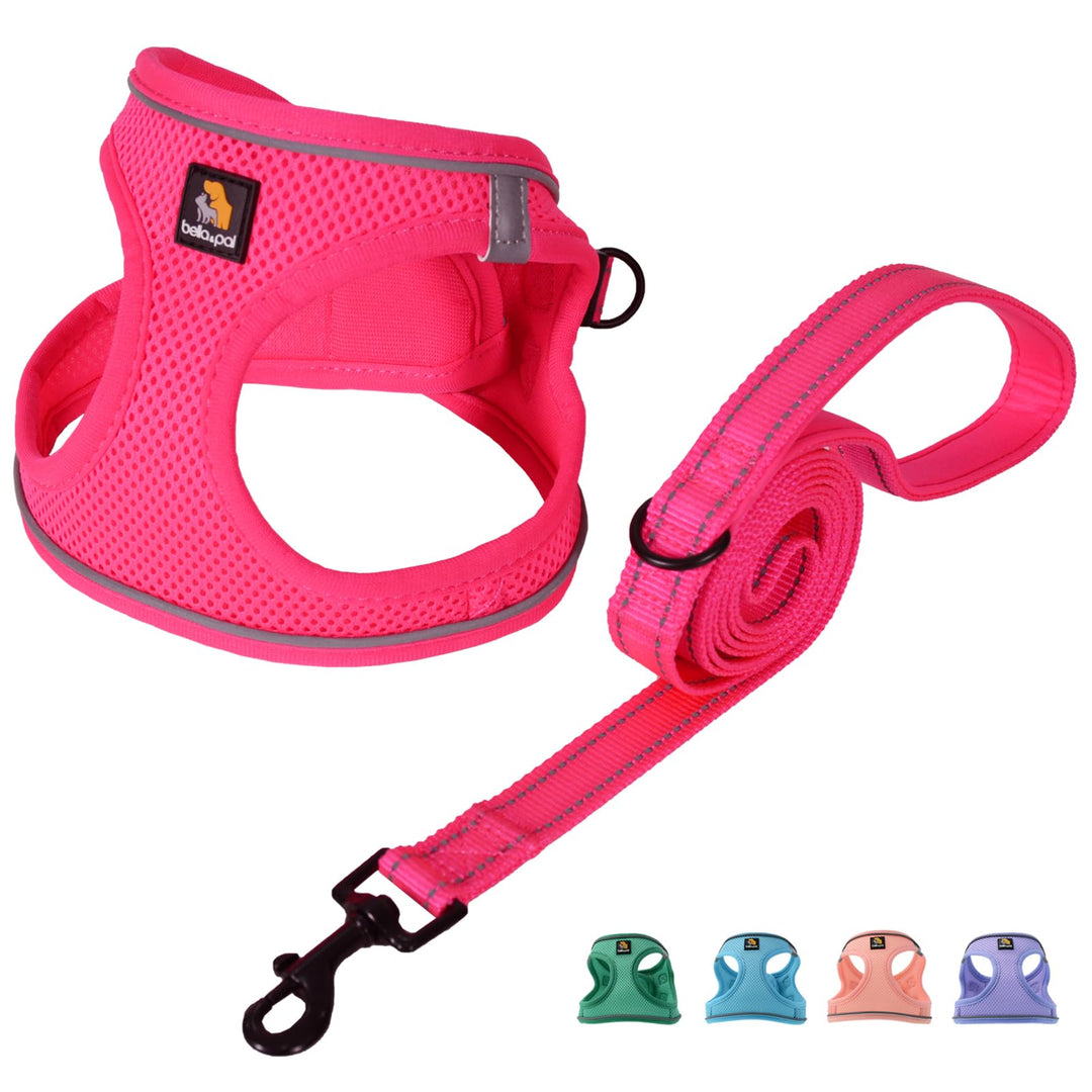 BELLA & PAL Hundegeschirr Kleine Hunde mit Leine, Step-in Geschirr aus Air Mesh, Anti Zug Reflektier