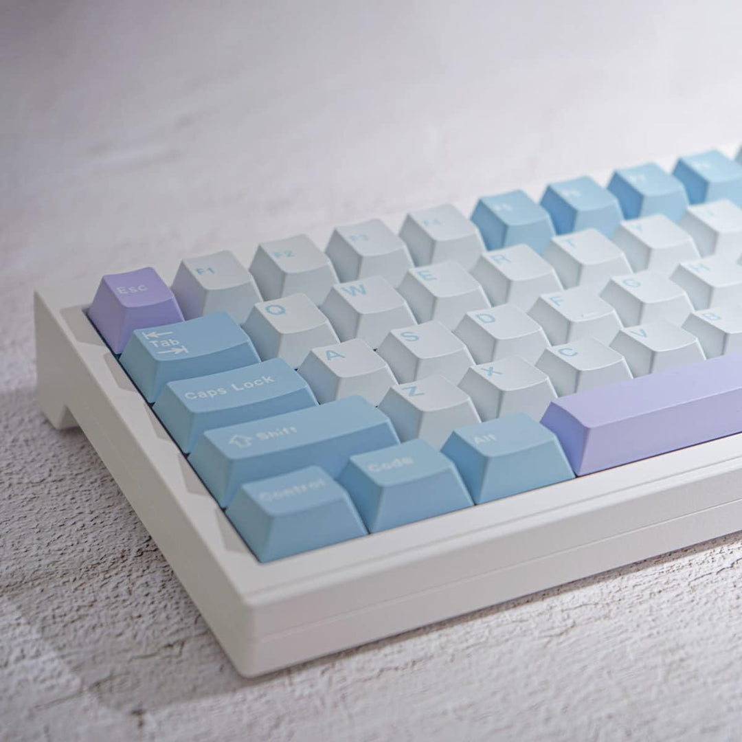 172 Tasten Double Shot Tastenkappen Cherry Profile Illusion Keycaps Fit for 61/64/87/104/108 Cherry