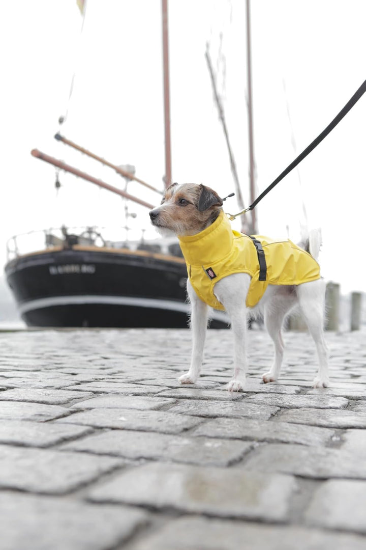 TRIXIE Regenmantel Vimy für Hunde XL gelb – Hunde-Regenjacke mit reflektierenden Elementen für mehr