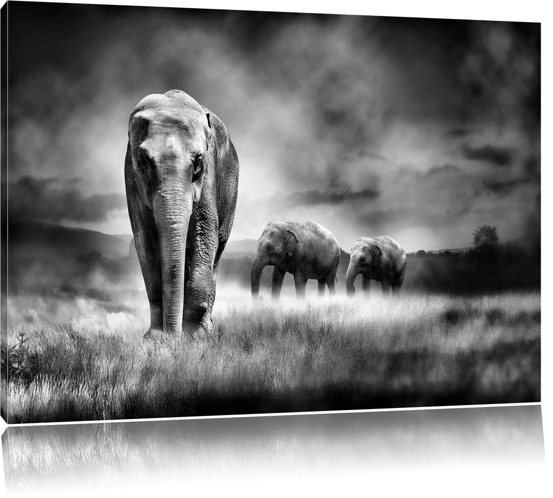 Pixxprint Monocrome, Prächtiger Elefanten in Steppe, Format: 100x70 auf Leinwand, 100x70