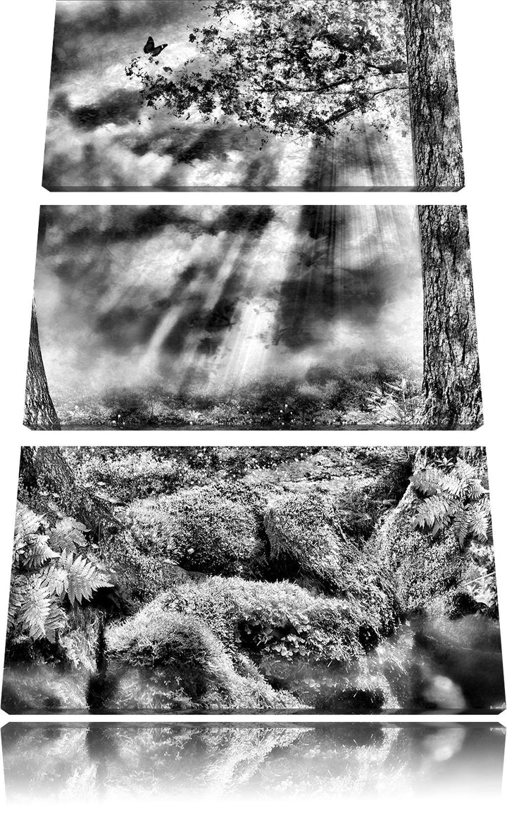 Pixxprint Monocrome, Baumwurzel und Schmetterling 3-Teiler Leinwandbild 120x80 Bild auf Leinwand
