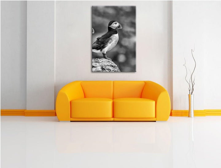 Pixxprint Papageitaucher Familie auf Felsen als Leinwandbild/Grösse: 100x70 / Wandbild/Kunstdruck/fe