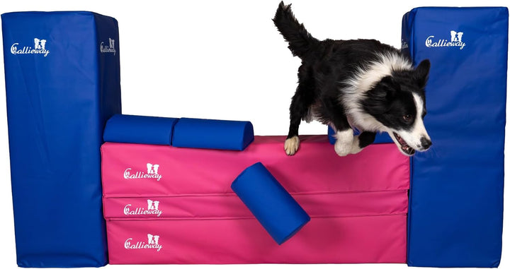 Callieway Turnier Agility Mauer „Bounce Over - Soft“ – alle FCI Sprunghöhen (Fuchsia/blau), fuchsia/