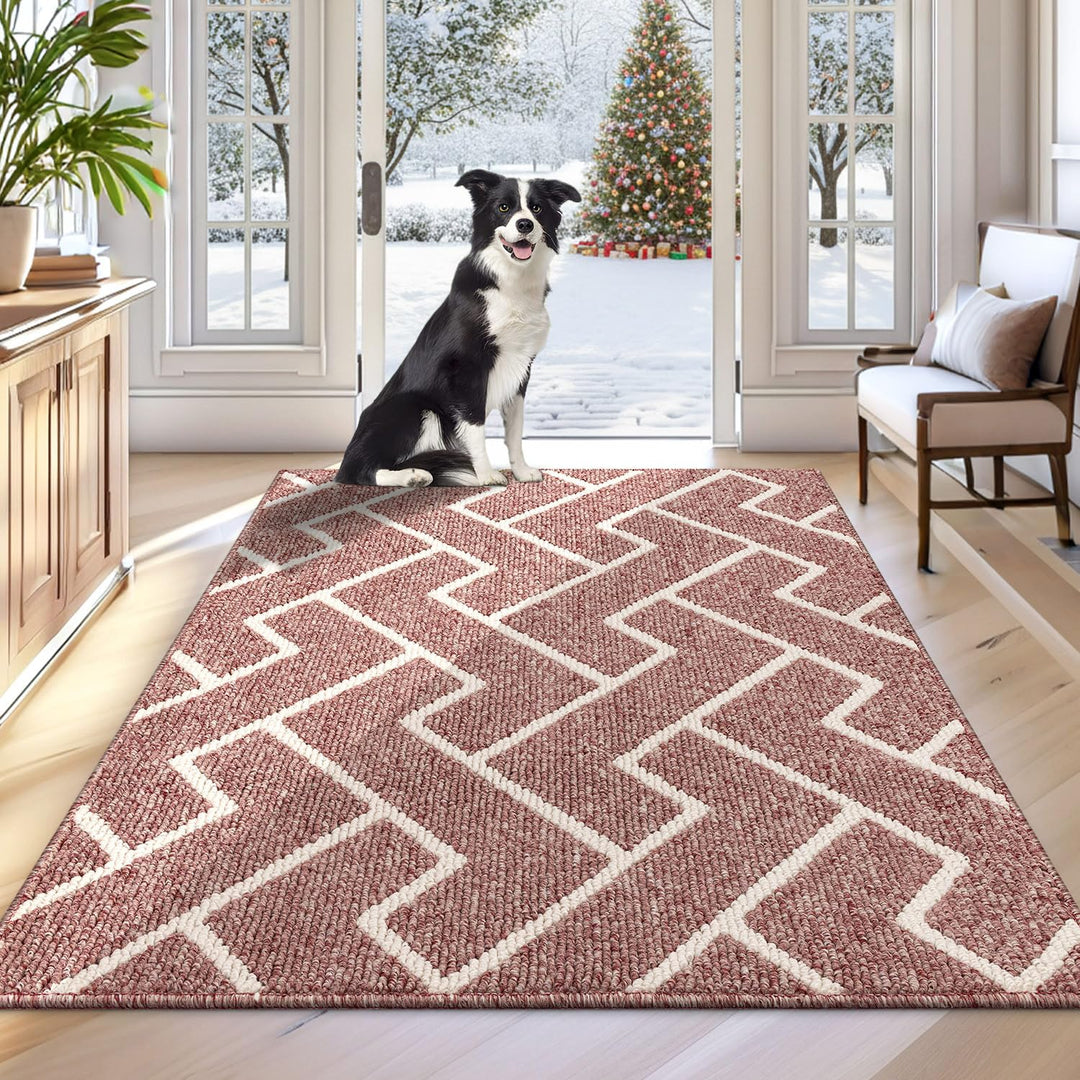 Biscpro Schmutzfangmatte 80 x 100, Rutschfestigkeit Fussmatte,Maschine gewaschen Türmatte für Hund,