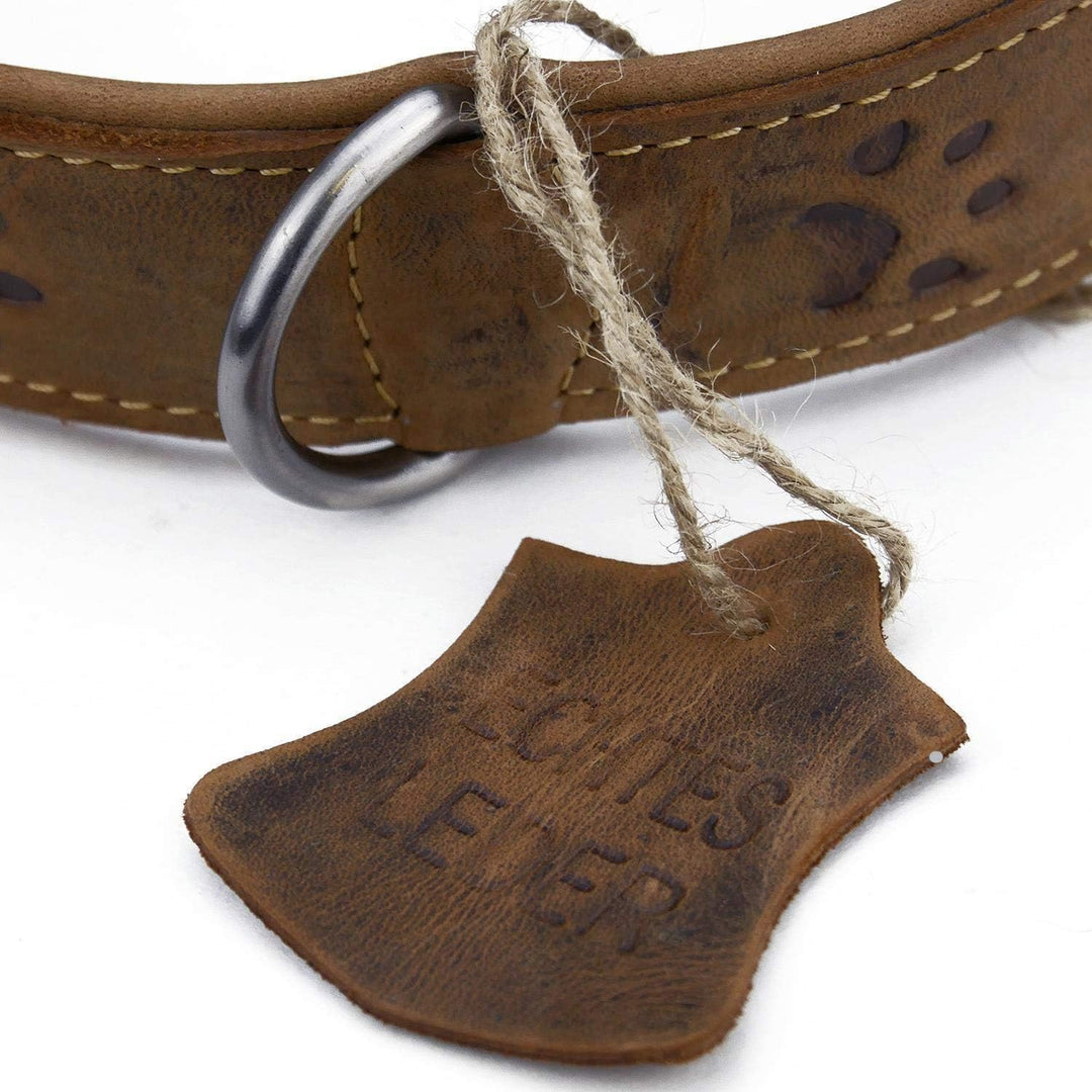 Greenburry Vintage 1609-25 Leder Hundehalsband XL