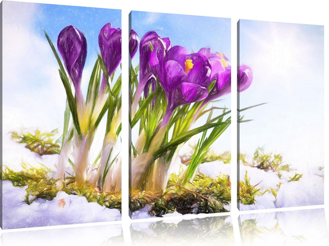 Pixxprint Kunst Frühling florwer Hintergrund / 3-Teilig/Gesamtmass 120cm Leinwandbild bespannt auf H