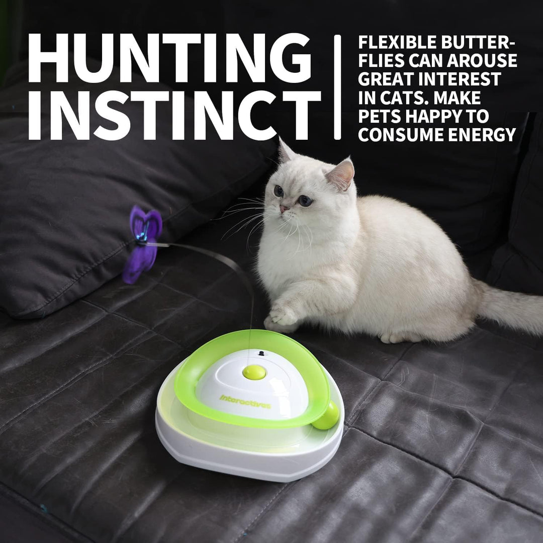 ALL FOR PAWS 2 in 1 Interaktives Katzenspielzeug zum Umrollen von Flattern, interaktives Katzenspiel