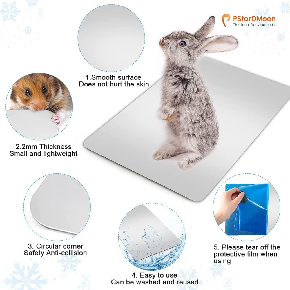 Namvo Summer Cool Plate Cooling Pad Hamster Matte Eisbett für kleine Haustiere Kaninchen Totoro Meer
