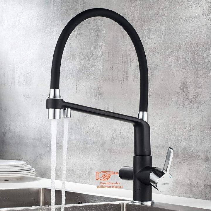 GRIFEMA DOVER-G4010B-2 | Küchenarmatur - Küche Wasserhahn mit Flexibler Auslauf, Brause mit 2 Strahl