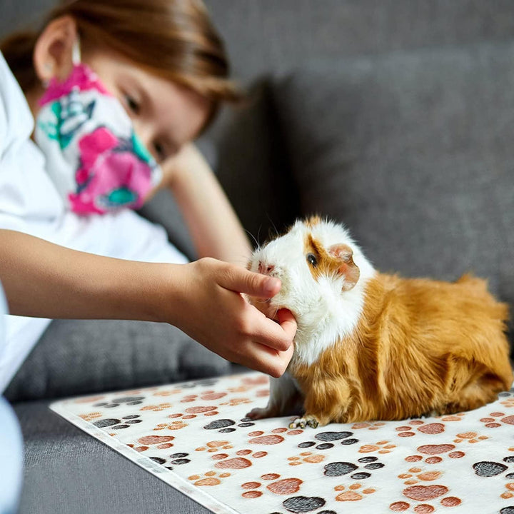 Norhogo 3 Stück Meerschweinchen Decken Wasserdicht Meerschweinchen Fleecedecken Klein Waschbar Saugf