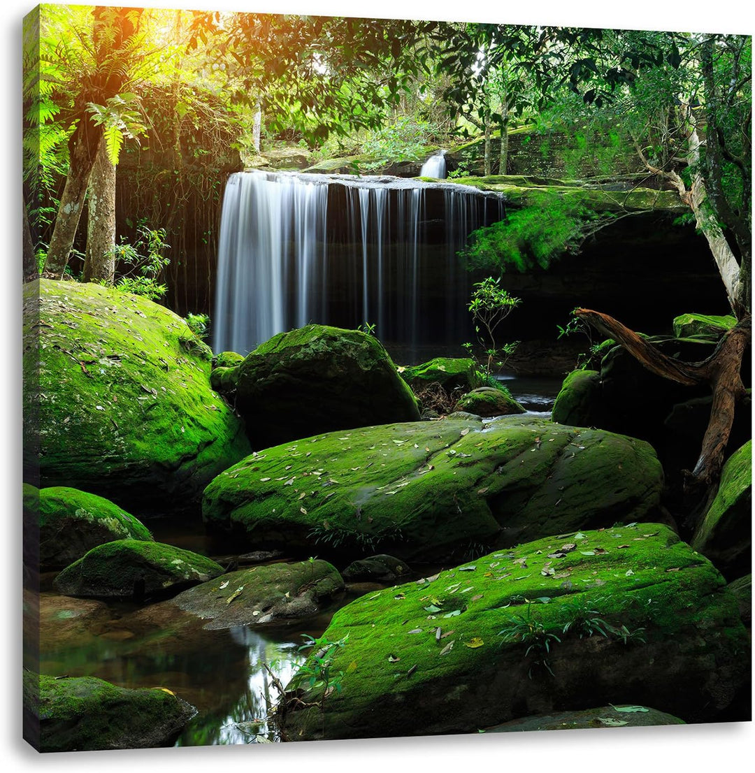 Pixxprint Regenwald in Thailand als Leinwandbild/Grösse: 70x70 cm/Wandbild/Kunstdruck/fertig bespann