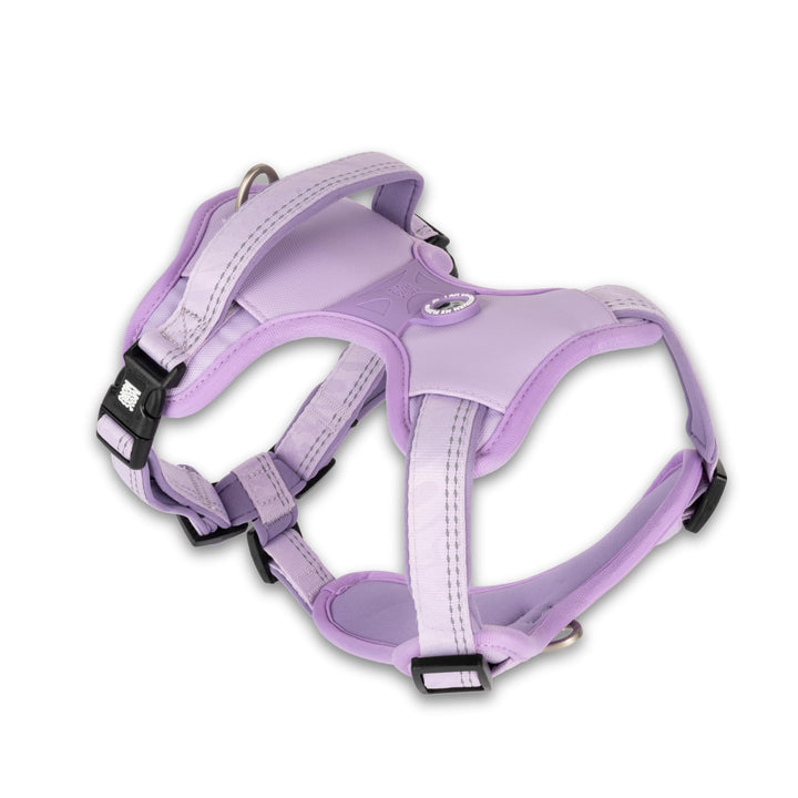 Max & Molly Sport Hundegeschirr Kleine Hunde mit Gotcha! Smart ID Sicherheitsanhänger, Matrix 2.0 La