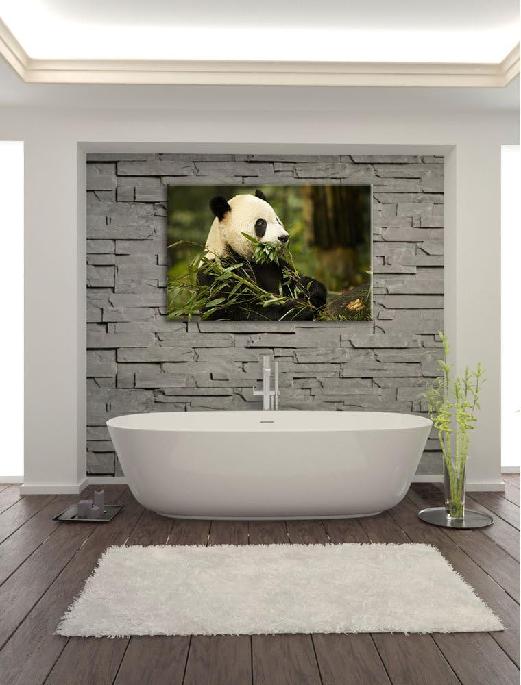 Pandabär beim Fressen Leinwand, XXL riesige Bilder fertig gerahmt mit Keilrahmen, Kunstdruck auf Wan