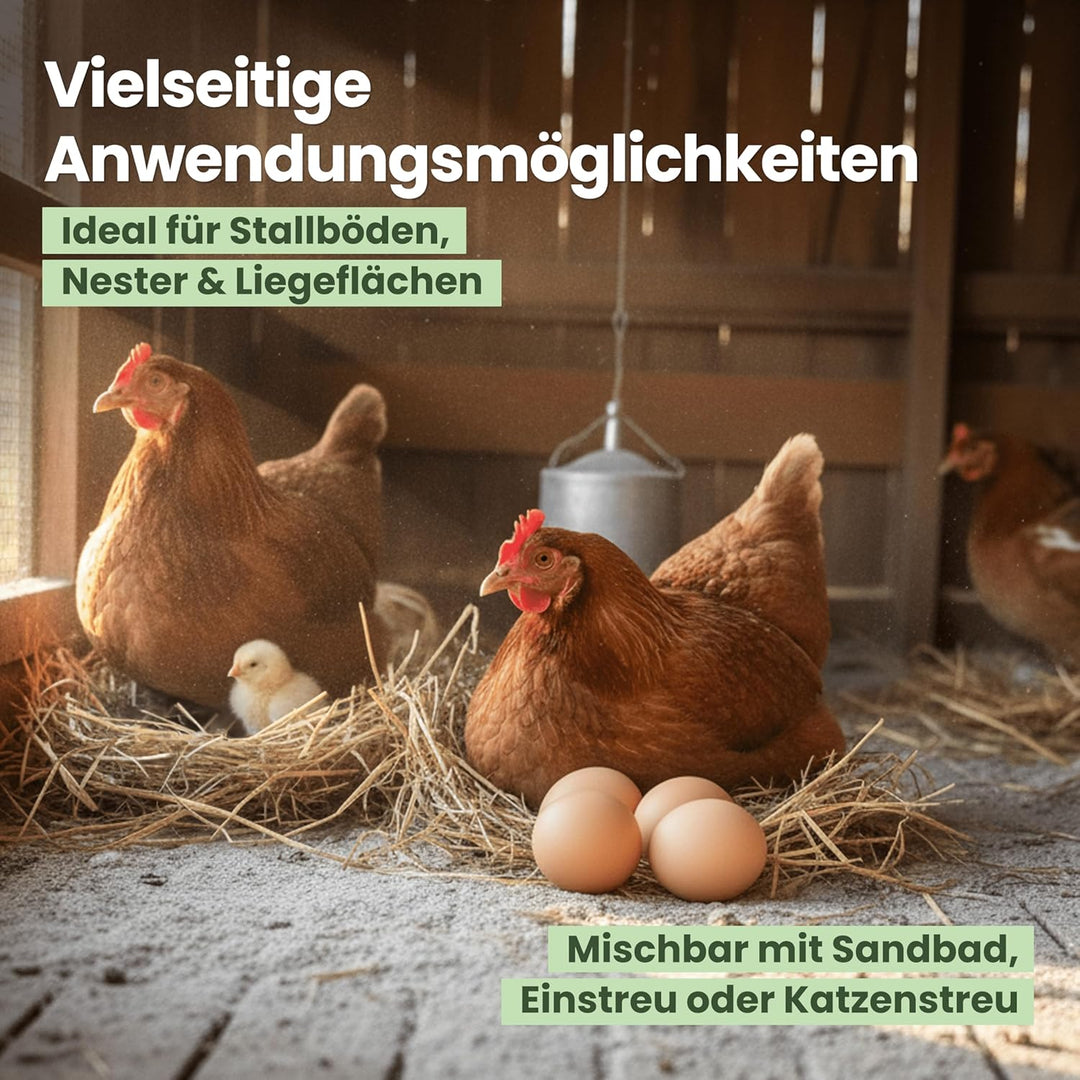 Einstreu für Hühner im 4,2 kg Eimer - Einstreu aus gemahlenen Mineralien - Verbessert Hygiene & Klim
