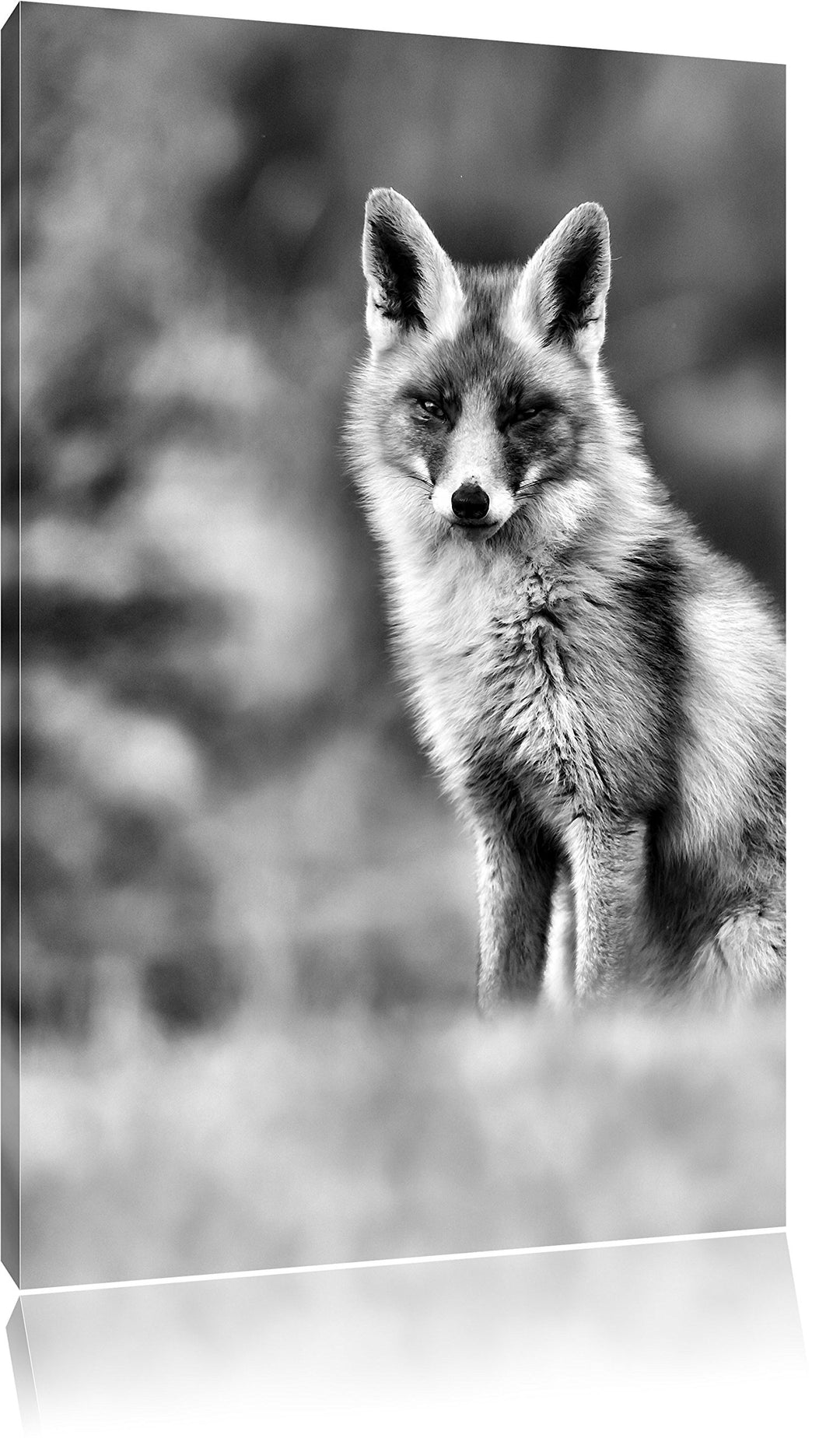 Pixxprint Listiger Fuchs als Leinwandbild/Grösse: 100x70 / Wandbild/Kunstdruck/fertig bespannt, 100x